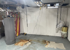 Basement mechanical with dogs